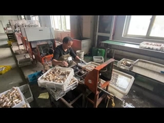 ODM النحاس أنابيب الغاز إغلاق صمام مخصص مع اللون المقبض الأزرق